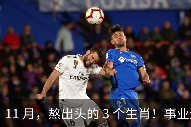 11 月，熬出头的 3 个生肖！事业逐步走高，辛苦付出开始变现